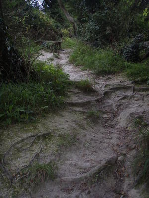 Padeto supren