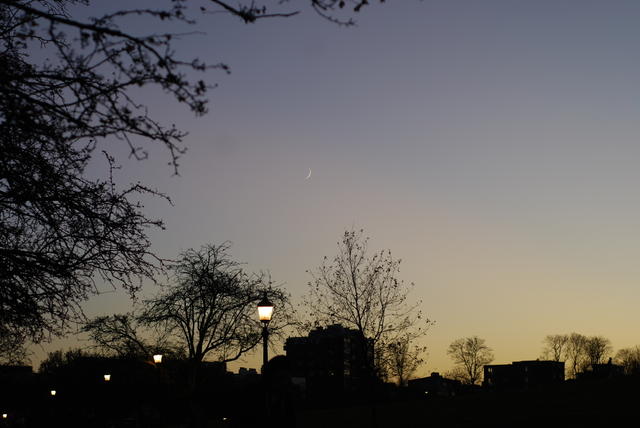 Nova luno