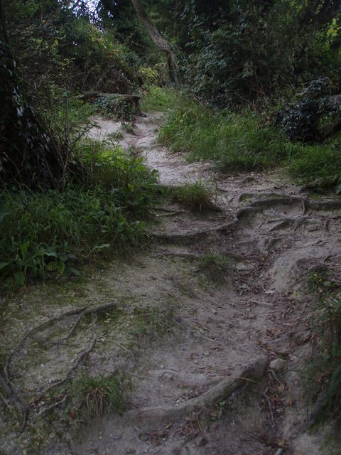 Padeto supren