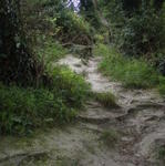Supre lumas
